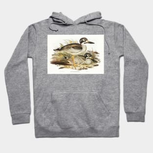 Large-billed Plover (Esacus magnirostris) Hoodie